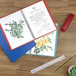 ACROPAQ Porte-Vues A4 - Classeur de présentation Premium rouge au format A4 avec 30 pochettes - En polypropylène durable