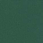 vidaXL Auvent latéral rétractable vert foncé 100x600 cm