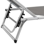 vidaXL Chaises longues pliables et toit 2 Pièces Aluminium textilène Gris