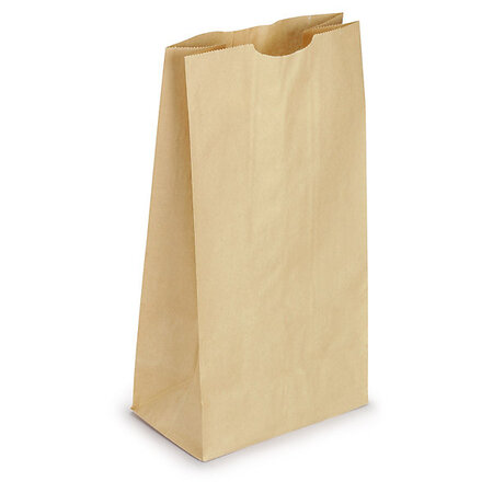 Sac kraft brun sans poignées 18x34x11 cm (lot de 500)