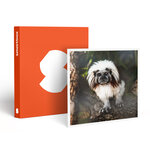 SMARTBOX - Coffret Cadeau Tanière Zoo Refuge : immersion avec les herbivores pour 2 personnes -  Multi-thèmes