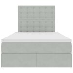 vidaXL Lit avec des lumières à LED Gris clair 120 x 200 cm Velours