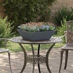 vidaXL Jardinières en acier  5 pièces  anthracite  50x50x15 cm