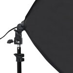 vidaXL Kit de studio photo avec boîtes à lumière et toile de fond