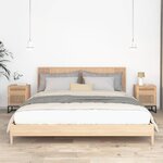 vidaXL Tables de chevet 2 Pièces 40x30x55 5 cm bois ingénierie et fer