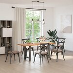 vidaXL Pieds de table à manger Anthracite 2 pièces 50 x (72-73) cm Acier