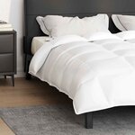 vidaXL Couettes & Duvets Blanc 260 x 220 cm Bas