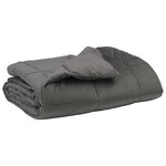 vidaXL Couette d'été 200 x 200 cm Été Microfibre (100  polyester)
