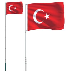 vidaXL Drapeau de la Turquie et mât 5 55 m Aluminium