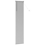 vidaXL Store de Fenêtre avec des rideaux Autre Argenté 40 x 220 cm Aluminium