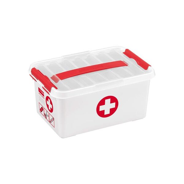 Boite rangement Pharmacie 6 Litres PP 30x20x14 cm avec Trieur Transparent SUNWARE