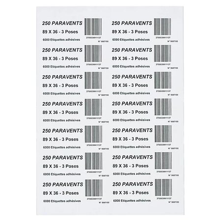 Étiquette d'adressage raja 63 5x38 1 mm (lot de 2100)