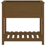 vidaXL Jardinière avec étagère Marron miel 82 5x54x81 cm Bois de pin
