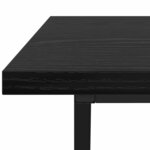vidaXL Table basse Chêne noir 100 x 50 x 40 cm