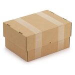 Caisse carton télescopique brune simple cannelure raja 22x12x5/9 cm (lot de 50)