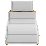 vidaXL Chaise longue avec coussin 2 Pièces Gris clair 184 x 55 x 64cm