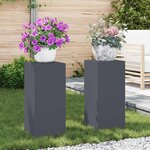 vidaXL Supports pour plantes 2 Pièces Anthracite 24 x 24 x 55 cm Acier