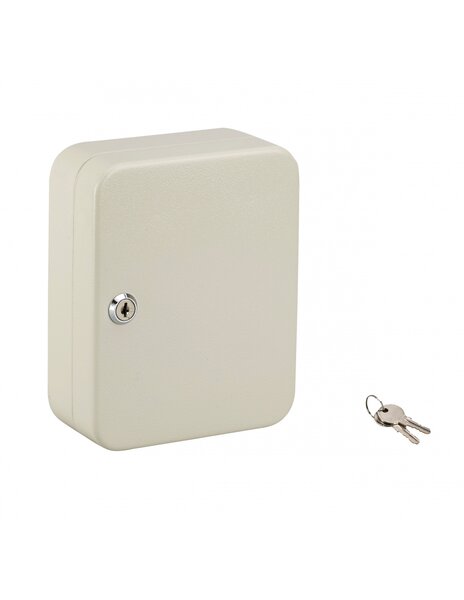 THIRARD - Armoire à clé Kibox serrure à cylindre capacité de 20 clés - THIRARD