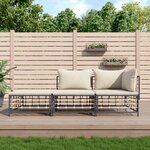 vidaXL Salon de jardin 3 Pièces avec coussins anthracite résine tressée