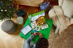 Lego 21280 - Minecraft Le calendrier de l'Avent 2025