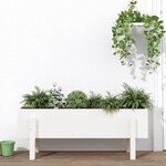 vidaXL Lit surélevé de jardin blanc 101x30x38 cm bois de pin massif