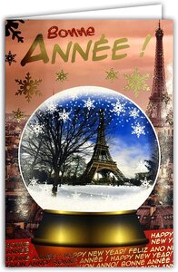 Lot 10 cartes identiques bonne année meilleurs vœux avec 10 enveloppes blanches