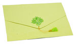 PAPERTREE LEILA Lot de 5 Enveloppes A5 - Anis