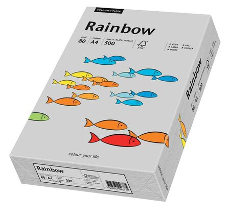 Ramette de 500 feuilles papier multifonction Rainbow A4 80 g Gris PAPYRUS