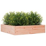 vidaXL Jardinière 100x100x23 cm bois massif de douglas