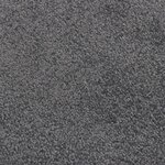 Vidaxl paillasson anthracite 40x60 cm