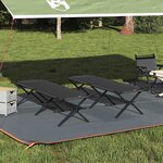 vidaXL Lit de camping pliant 2 Pièces Noir Tissu Oxford
