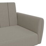 vidaXL Canapé-lit à 2 places gris clair velours