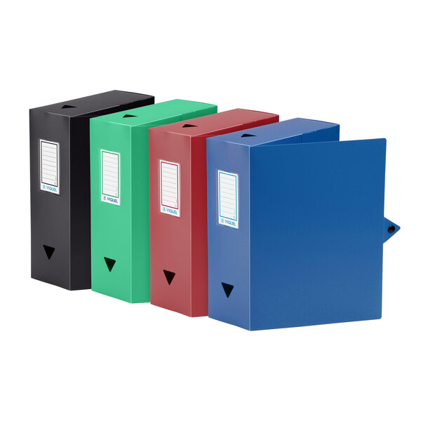 Lot de 4 Boîtes de Classement et archivage en plastique grande capacité