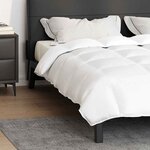 vidaXL Couette Blanc 260 x 220 cm Plume