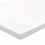 vidaXL Dessus de table blanc 100x50x2 5 cm bois de pin massif