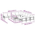 vidaXL Ensemble de canapé de jardin 12 Pièces Anthracite Acier