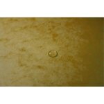 Chemise à élastiques sans Rabats carton 400g 24x32 cm Jaune EXACOMPTA