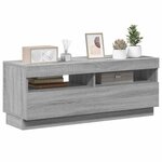 vidaXL Meuble TV avec lumières LED sonoma gris 100x35x40 cm