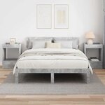 vidaXL Table d'appoint 2 Pièces Gris béton 40 x 40 x 56 cm