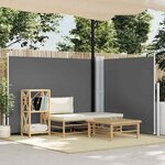 vidaXL Auvent latéral rétractable Anthracite 140 x 1000 cm