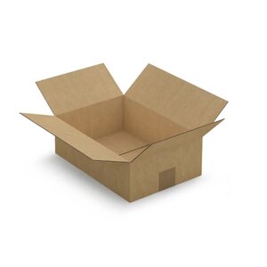 5 cartons d'emballage 31 x 21.5 x 10 cm - Simple cannelure