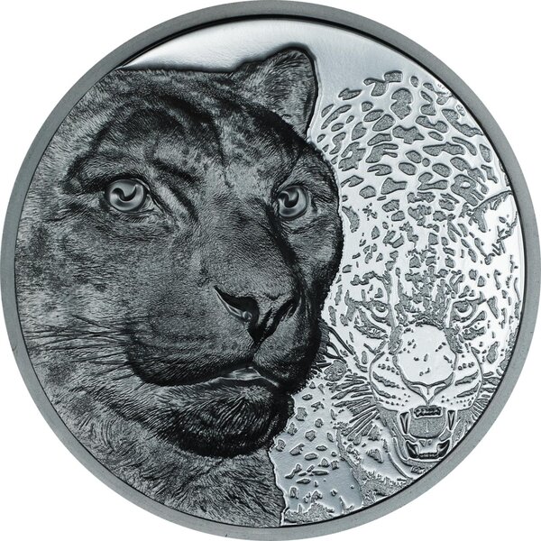 Pièce de monnaie en Argent 1000 Togrog g 62.2 (2 oz) Millésime 2024 Wild Mongolia SNOW LEOPARD