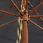 vidaXL Parasol de jardin avec mât en bois noir 400x273 cm