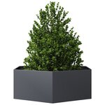 vidaXL Jardinière anthracite hexagone 138x120x45 cm acier