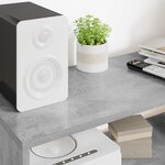 vidaXL Meuble TV Gris béton 100 x 30 x 40 cm Bois d'ingénierie