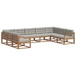 vidaXL Ensemble de canapés d'extérieur 9 Pièces Gris Naturel et Clair