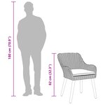 vidaXL -chaises de jardin avec coussins 2 Pièces Noir Poly Rattan