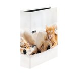 Classeur À Levier Avec Motif Imprimé Dos 80mm - Visuel - X 6 - Falken