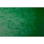 Trieur HARMONIKA® à fenêtres et élastique carte lustrée 24 comp Vert EXACOMPTA