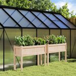 vidaXL Jardinières 2 Pièces avec pieds bois de pin massif